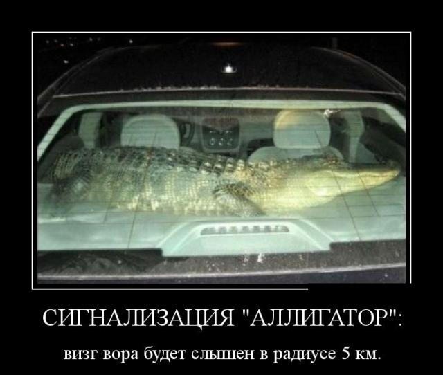 Демотиваторы (30 фото)