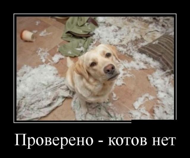 Демотиваторы (30 фото)