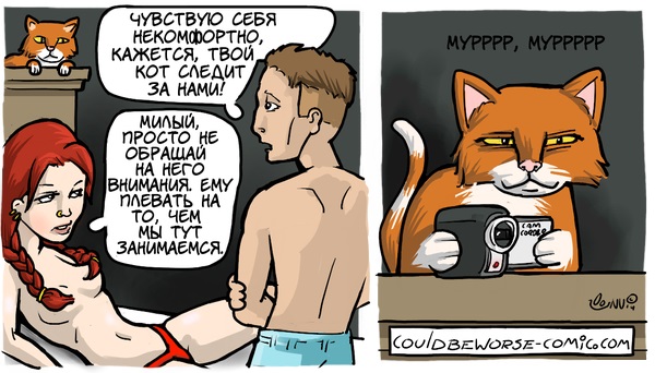 Забавные картинки