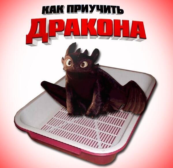 Забавные картинки