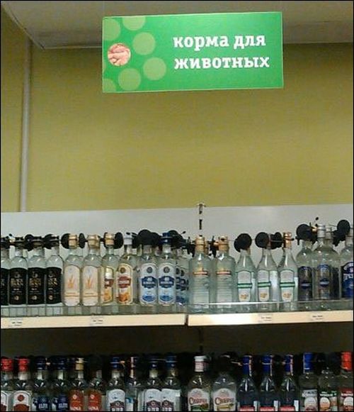 Прикольные картинки (85 фото)