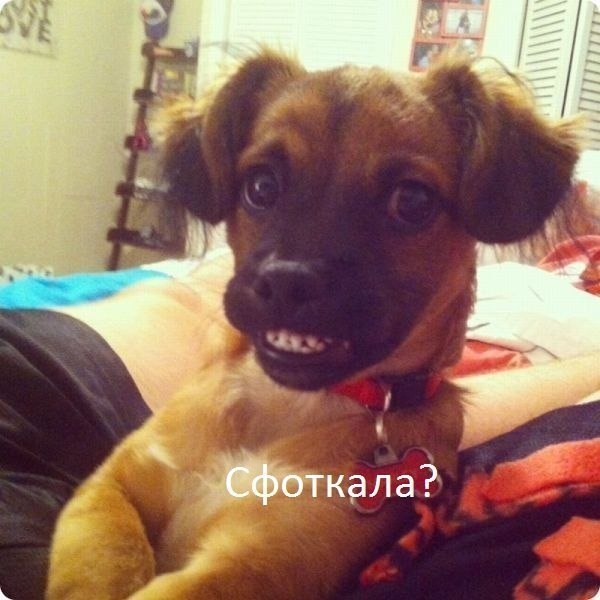 Прикольные картинки (85 фото)