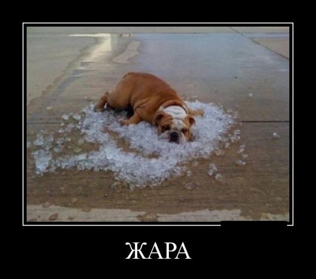 Демотиваторы (30 фото)