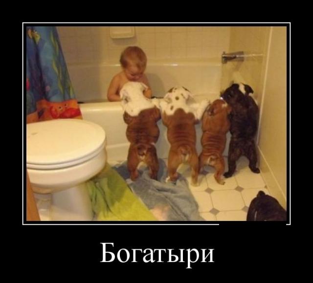 Демотиваторы (30 фото)