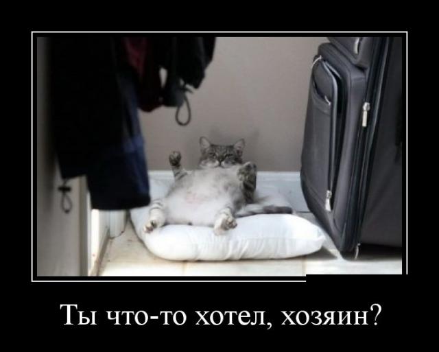Демотиваторы (30 фото)