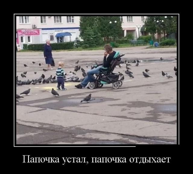 Демотиваторы (30 фото)