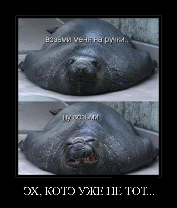Демотиваторы (30 фото)