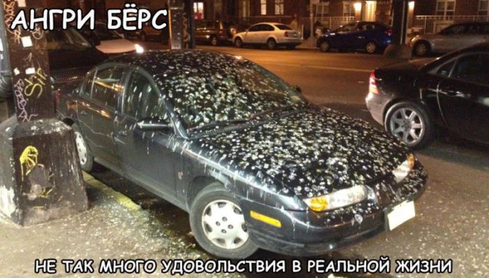Прикольные картинки (78 фото)
