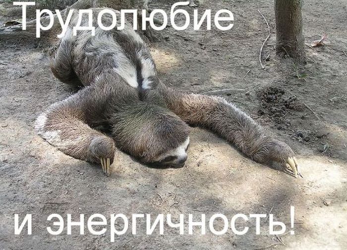 Прикольные картинки (78 фото)