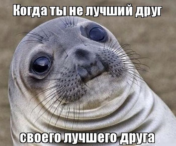 Прикольные картинки (78 фото)