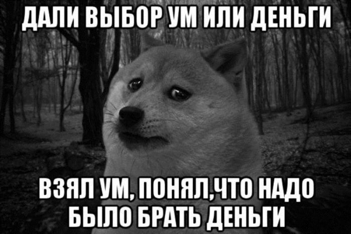 Прикольные картинки (78 фото)