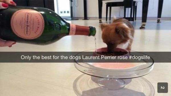 Вот из Snapchat от богатого мальчика (61 фото)