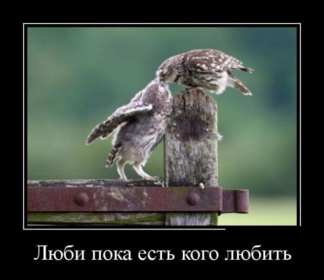 Демотиваторы (30 фото)