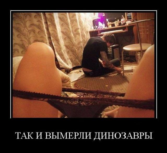 Демотиваторы (30 фото)