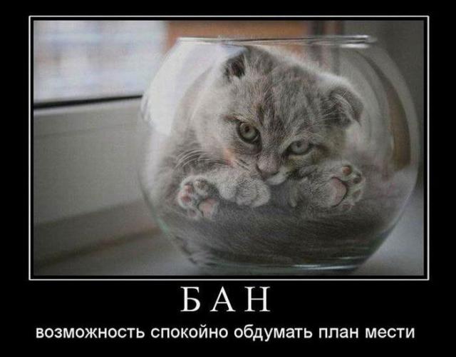 Демотиваторы (30 фото)