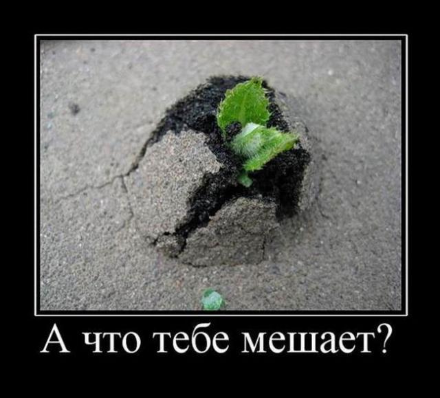 Демотиваторы (30 фото)