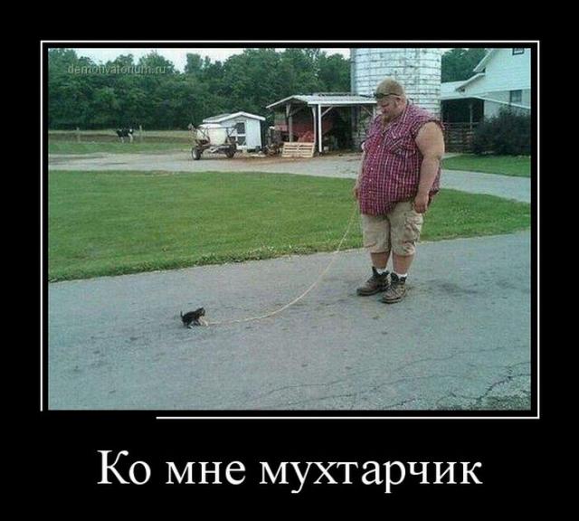 Демотиваторы (30 фото)