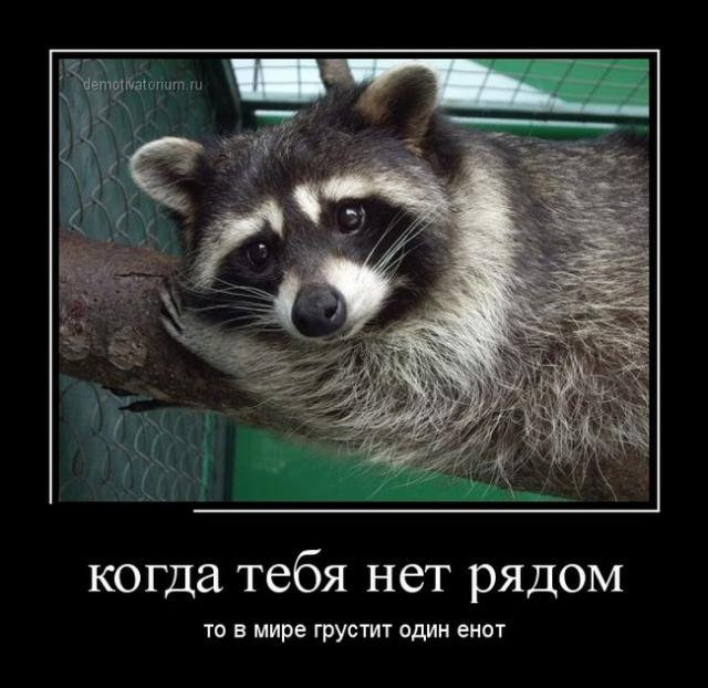 Демотиваторы (30 фото)