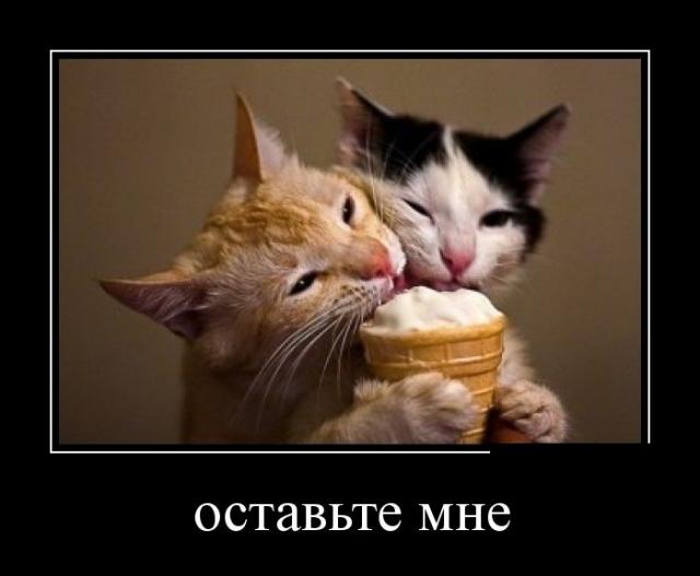 Демотиваторы (30 фото)