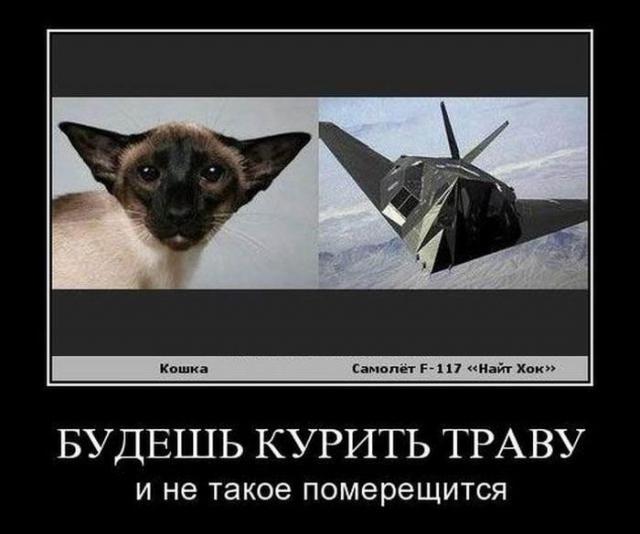 Демотиваторы (30 фото)