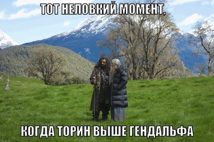 Прикольные картинки (85 фото)