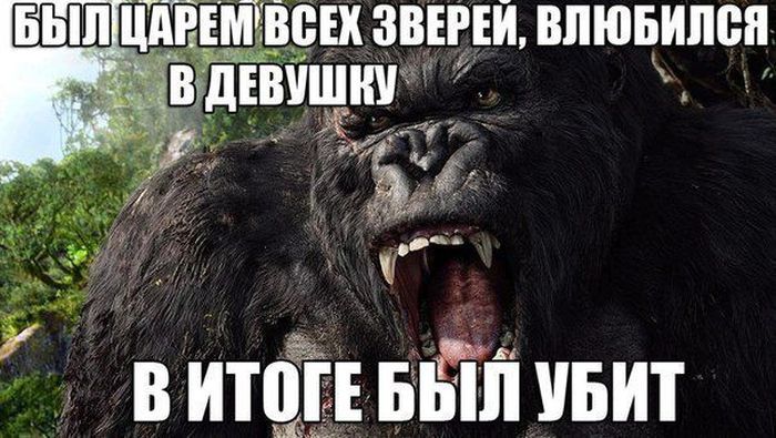 Прикольные картинки (85 фото)
