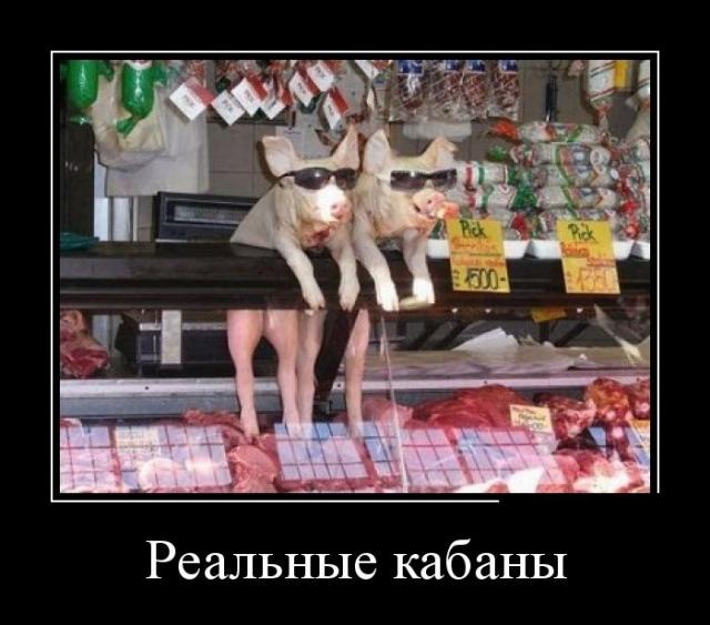 Демотиваторы (30 фото)