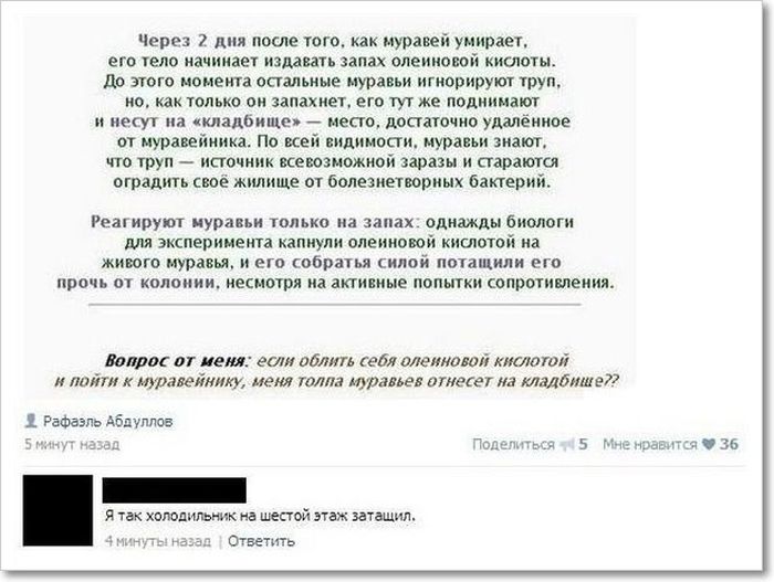 Забавные картинки