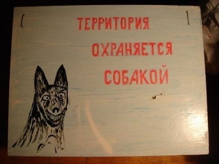 Забавные картинки