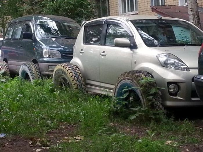 Забавные картинки