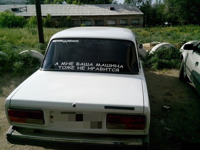 Забавные картинки