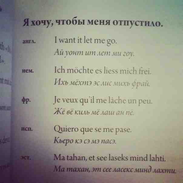 Забавные картинки