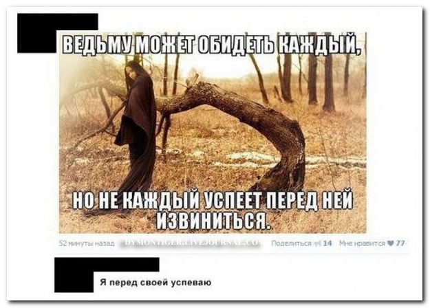Смешные комментарии из социальных сетей (40 фото)