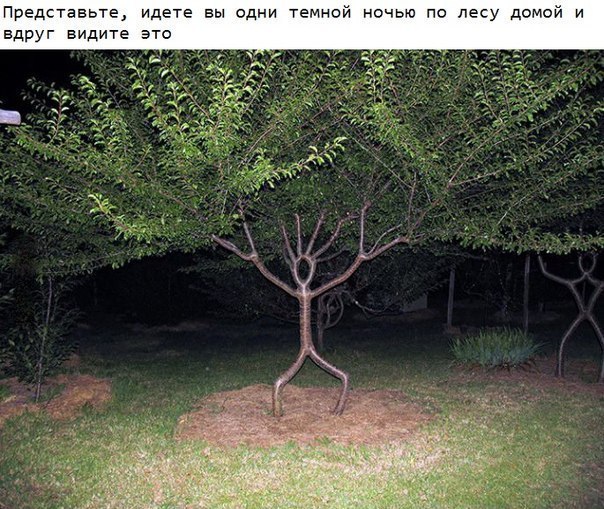 Прикольные картинки (83 фото)