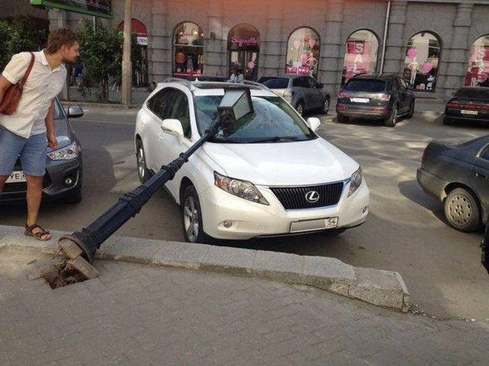 Прикольные картинки (83 фото)