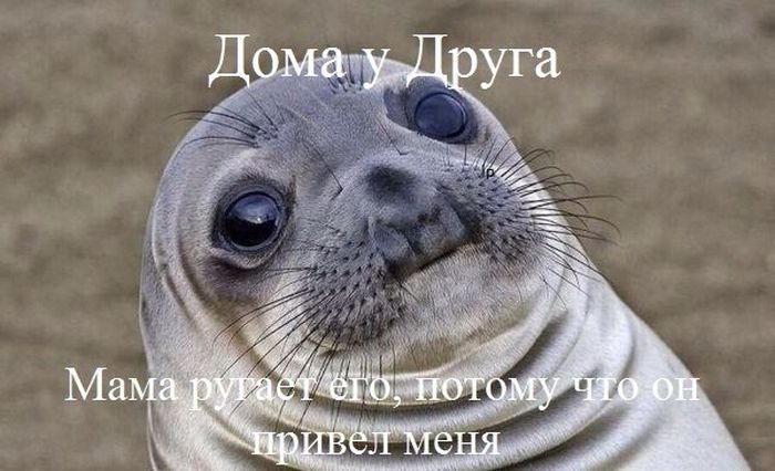 Прикольные картинки (83 фото)