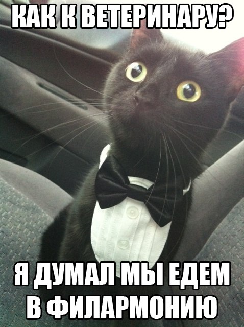 Прикольные картинки (83 фото)