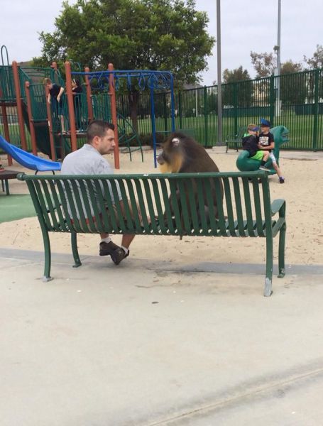 Прикольные картинки (83 фото)