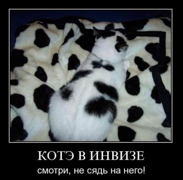 Демотиваторы (30 фото)