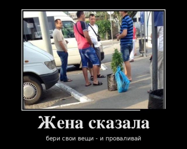 Демотиваторы (30 фото)
