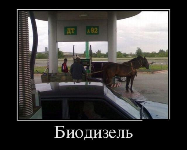 Демотиваторы (30 фото)