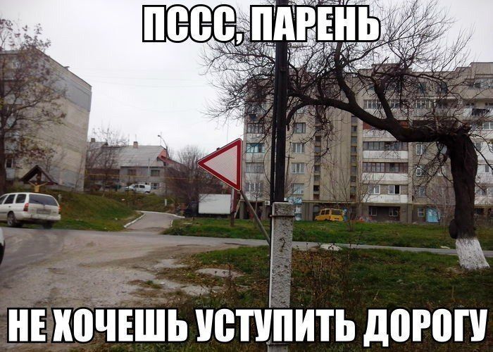 Прикольные картинки (101 фото)