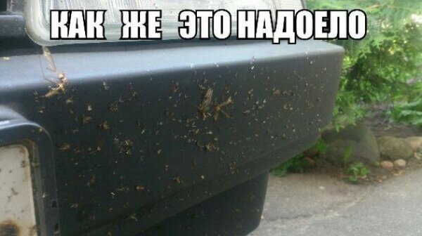 Автоприколы (33 фото)
