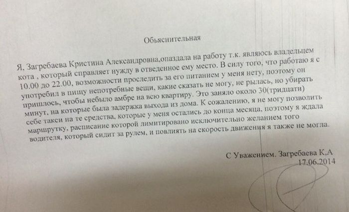 Прикольные картинки (91 фото)