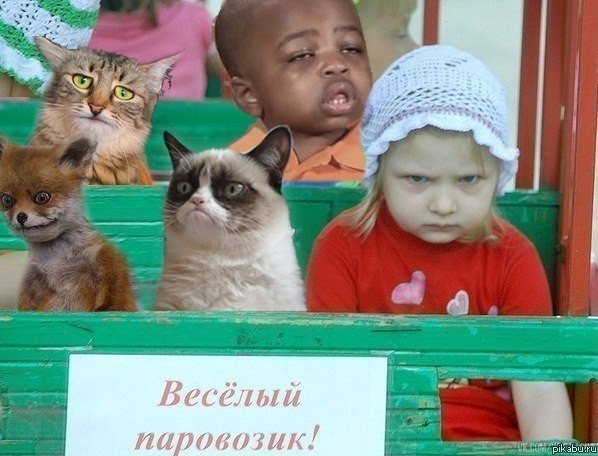 Тематическая подборка (42 фото)