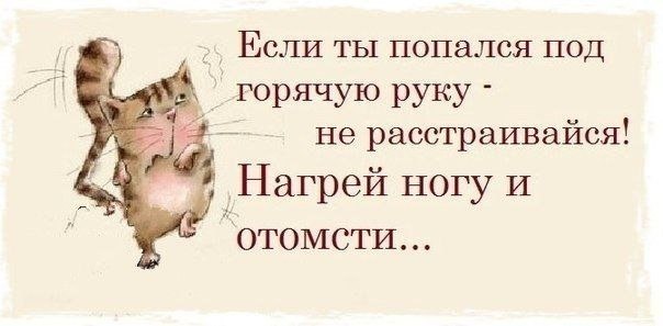 Тематическая подборка (42 фото)