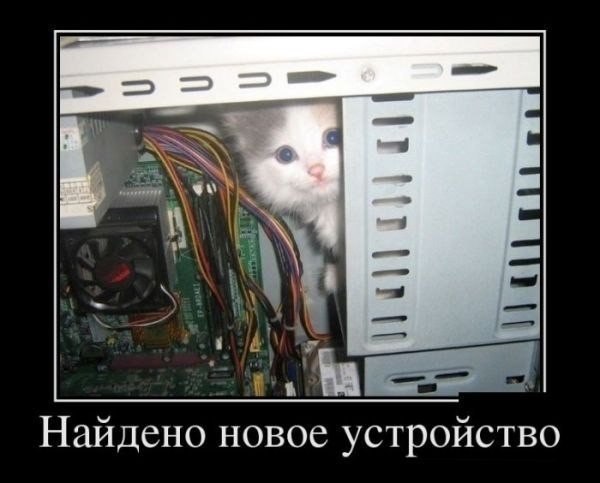 Тематическая подборка (42 фото)