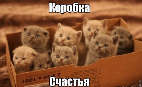 Тематическая подборка (42 фото)