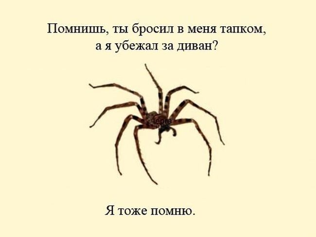 Прикольные картинки (87 фото)