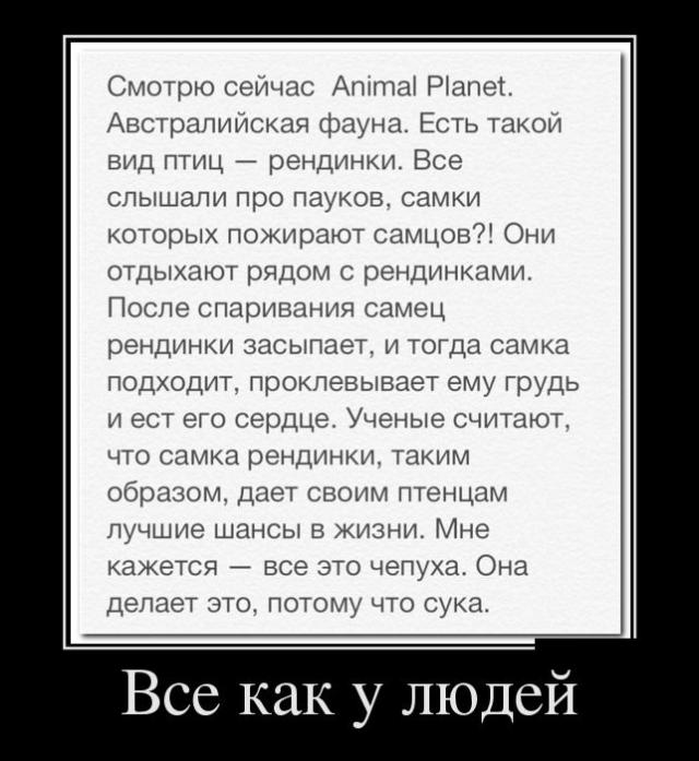 Демотиваторы (30 фото)